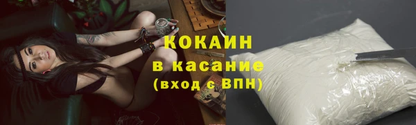 гидра Кодинск