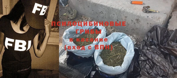 спайс Корсаков