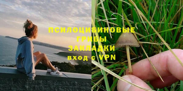 молекула духа Костерёво