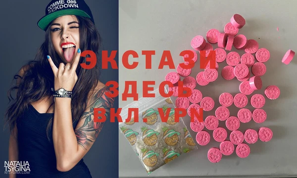 гидра Кодинск